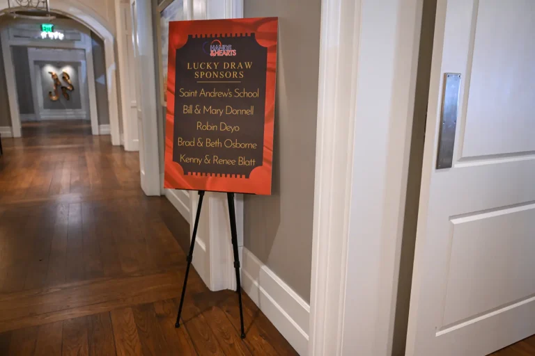 Hands and Hearts Gala event photo 21