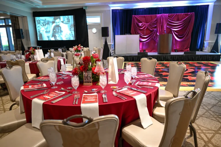 Hands and Hearts Gala event photo 23