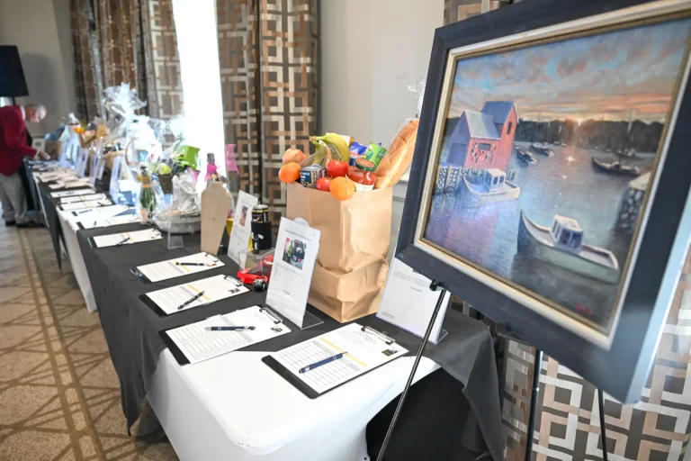 Hands and Hearts Gala event photo 30
