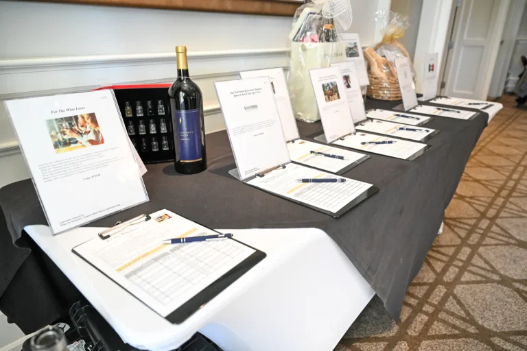 Hands and Hearts Gala event photo 31