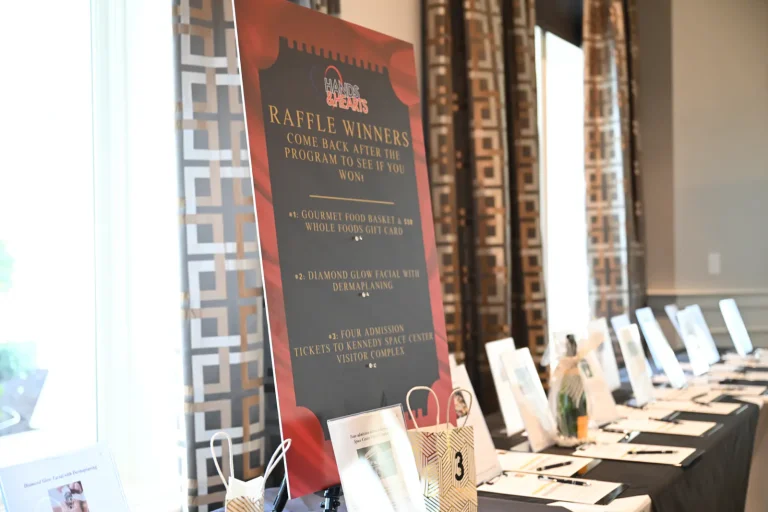 Hands and Hearts Gala event photo 33