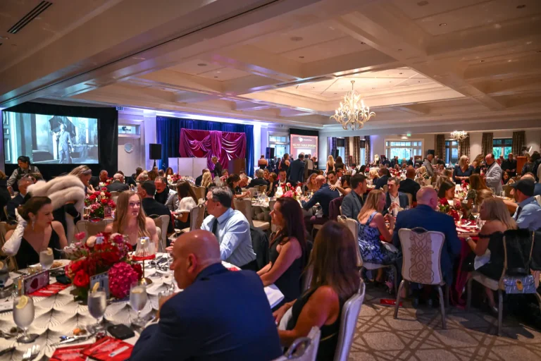 Hands and Hearts Gala event photo 148