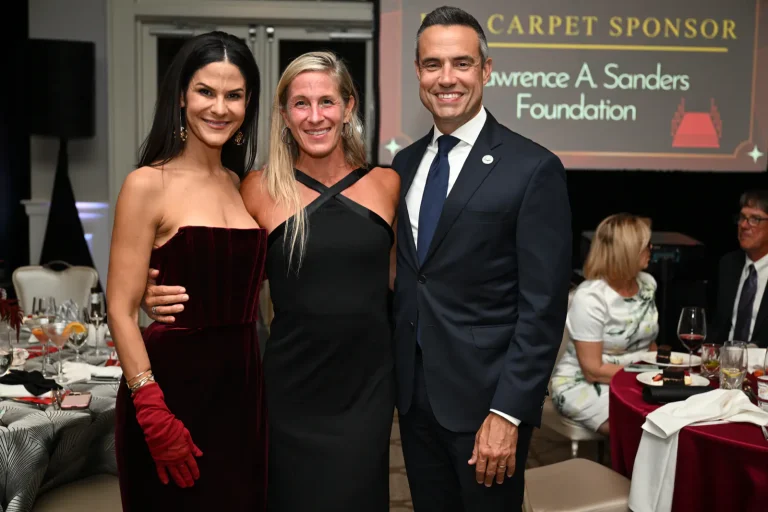 Hands and Hearts Gala event photo 227